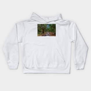 Cumberland Island National Seashore Kids Hoodie